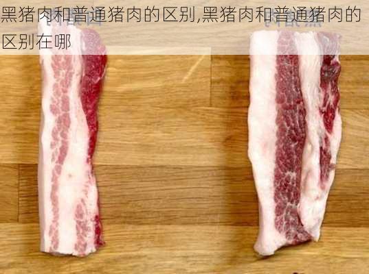 黑猪肉和普通猪肉的区别,黑猪肉和普通猪肉的区别在哪